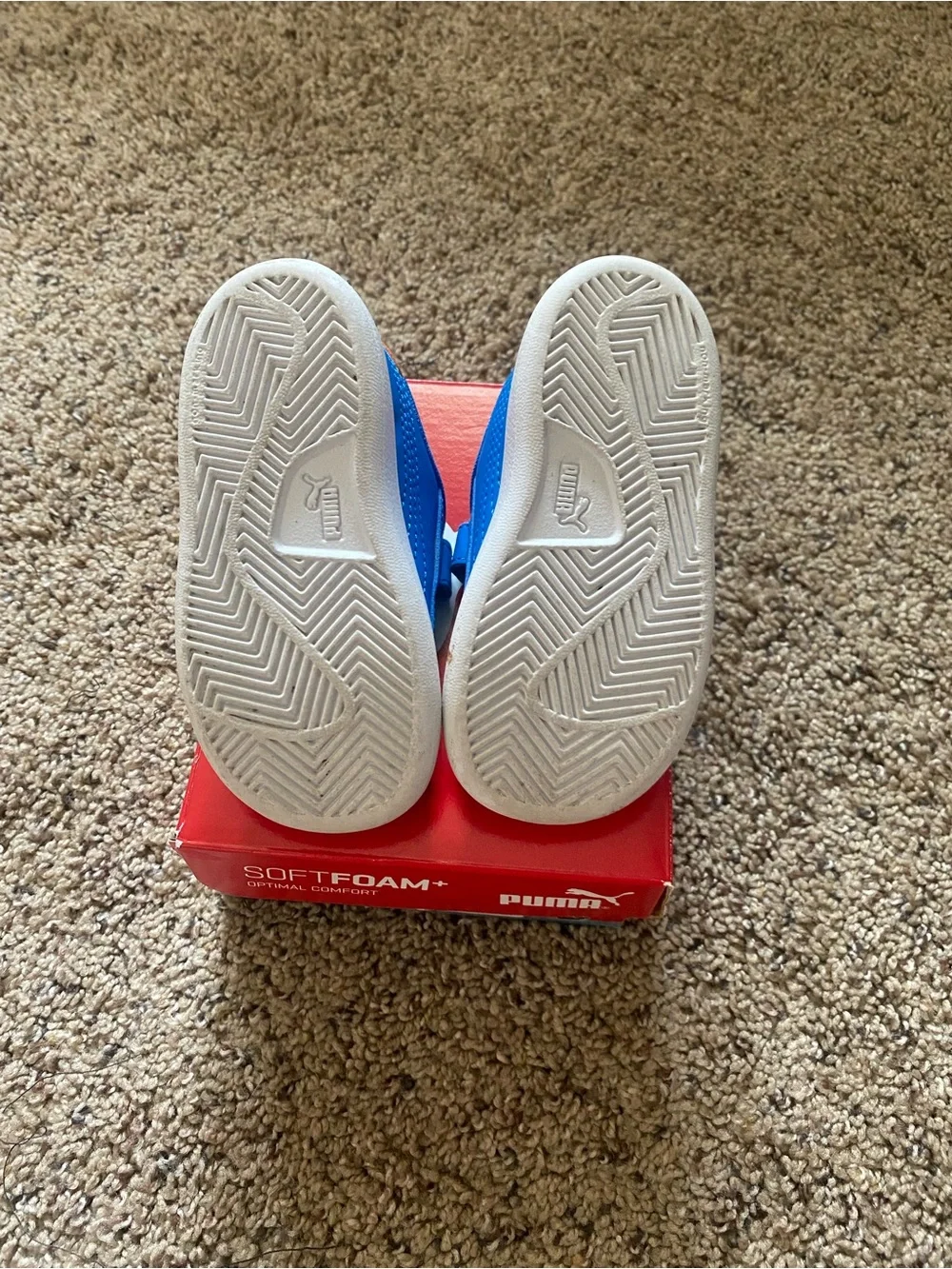 6C Shoes